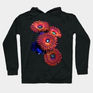 Zoanthids Hoodie